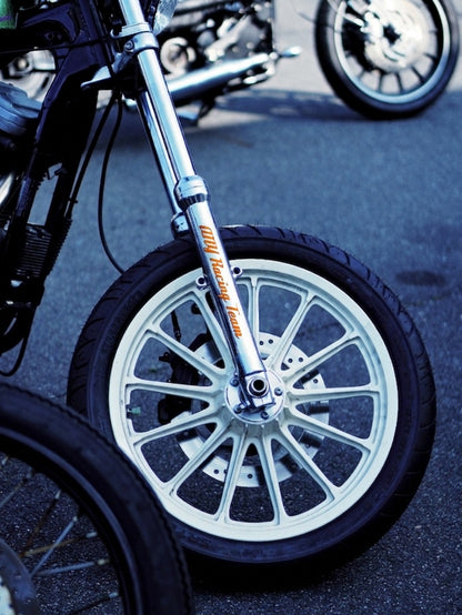 any motorcycle STICKER - 1